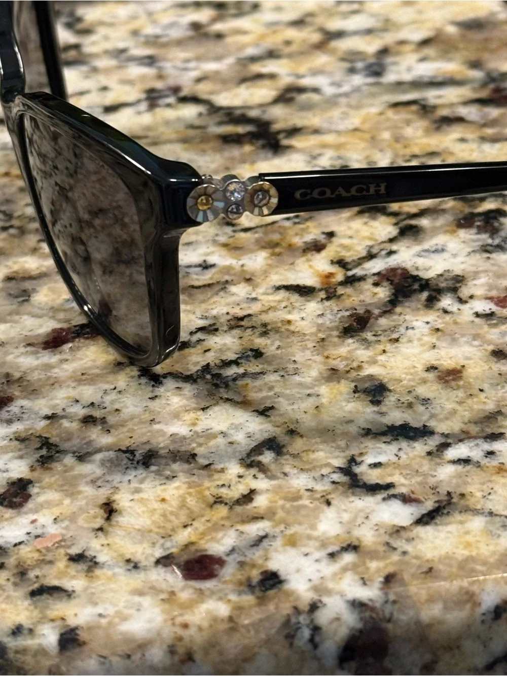 Coach Black Cat-Eye Sunglasses - Women's Designer Eyewear